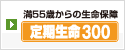 定期生命300
