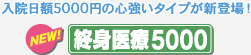 ���@���z5000�~�̐S�����^�C�v���V�o��I NEW�I�I�g���5000