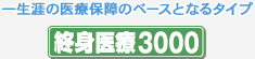 �ꐶ�U�̈�Õۏ�̃x�[�X�ƂȂ�^�C�v �I�g���3000