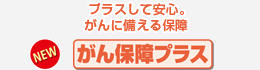 プラスして安心。がんに備える保障 がん保障プラス