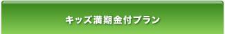 �L�b�Y�������t�v����