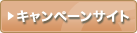 �L�����y�[���T�C�g
