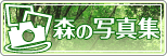 �X�̎ʐ^�W