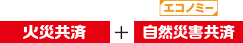 火災共済 エコノミー 自然災害共済
