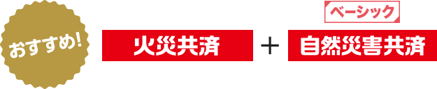 ベーシック おすすめ! 火災共済 自然災害共済