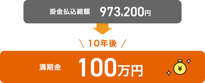 掛金払込総額973,200円10年後満期金100万円