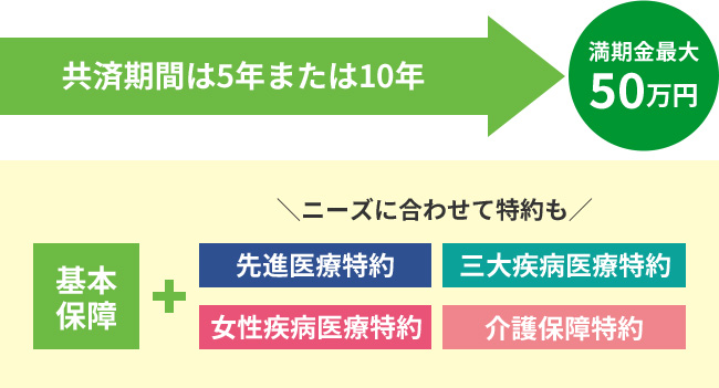 共済期間は5年または10年 満期金最大 50万円 基本保障＋ ニーズに合わせて特約も 先進医療特約 女性疾病医療特約 三大疾病医療特約 介護保障特約