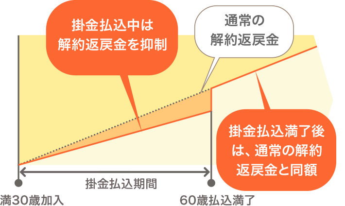 満30歳で加入、60歳で払込満了の場合、掛金払込中は通常の解約返戻金より解約返戻金が抑制され、掛金払込満了後は通常の解約返戻金と同額になります。