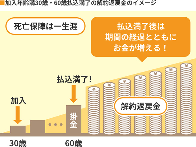 加入年齢満30歳・60歳払込満了の解約返戻金のイメージ 死亡保障は一生涯 払込満了後は 期間の経過とともに お金が増える！