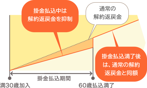 満30歳で加入、60歳で払込満了の場合、掛金払込中は通常の解約返戻金より解約返戻金が抑制され、掛金払込満了後は通常の解約返戻金と同額になります。