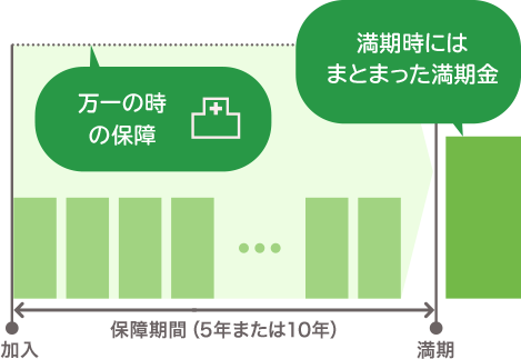 5年または10年の満期時にまとまった満期金が受け取れ、積立期間中も万一の時の保障がついています。