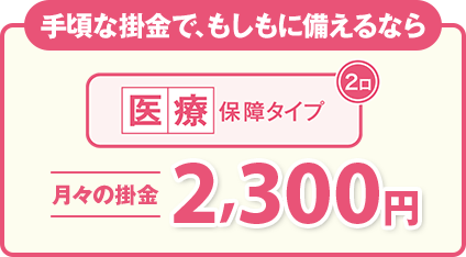 手頃な掛金で、もしもに備えるなら 医療保障タイプ（2口）月々の掛金 2,300円