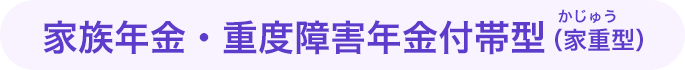 家族年金・重度障害年金付帯型（家重型）
