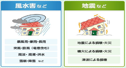風水害、地震などの保障