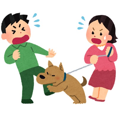 飼い犬が他人に噛みついたとき