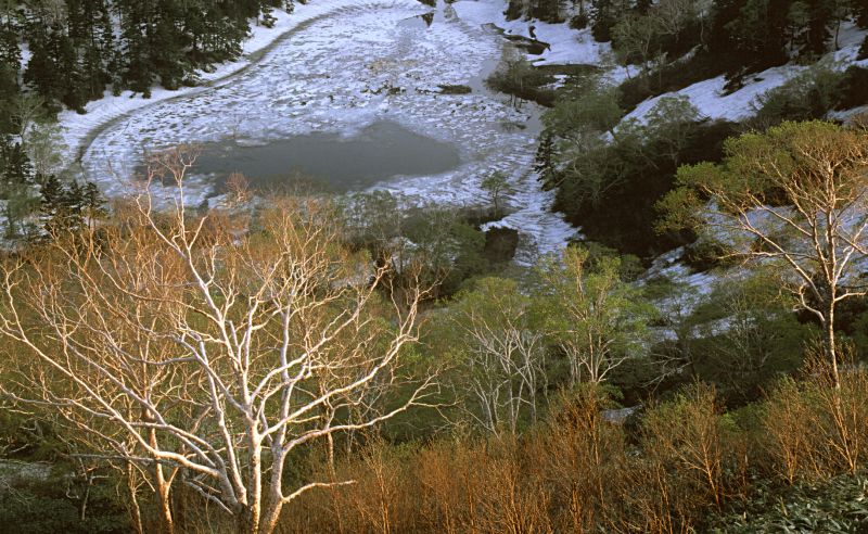 早春の八幡平