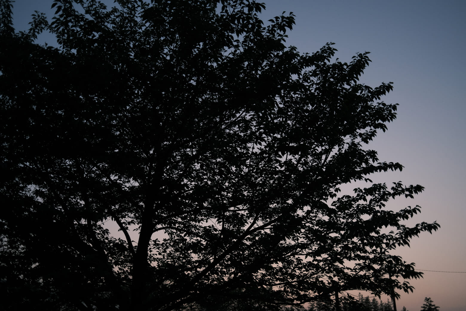 大学 バイト 就活 会えない日々を 話す ことでたすけあい 乗り越えていく 共済 保障のことならこくみん共済 Coop 全労済