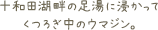 十和田湖畔の足湯に浸かってくつろぎ中のウマジン。