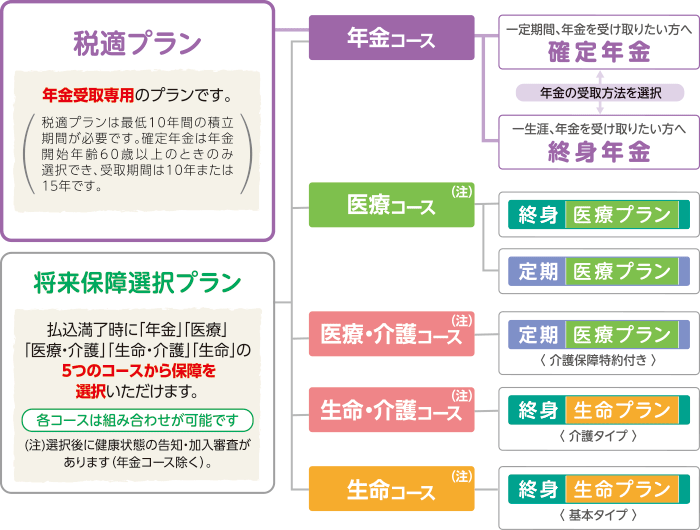 ご希望のコース・プランを選択