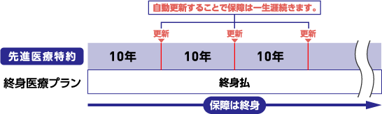 自動更新することで保障は一生涯続きます。