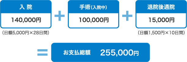 入院や治療などにかかる医療費は