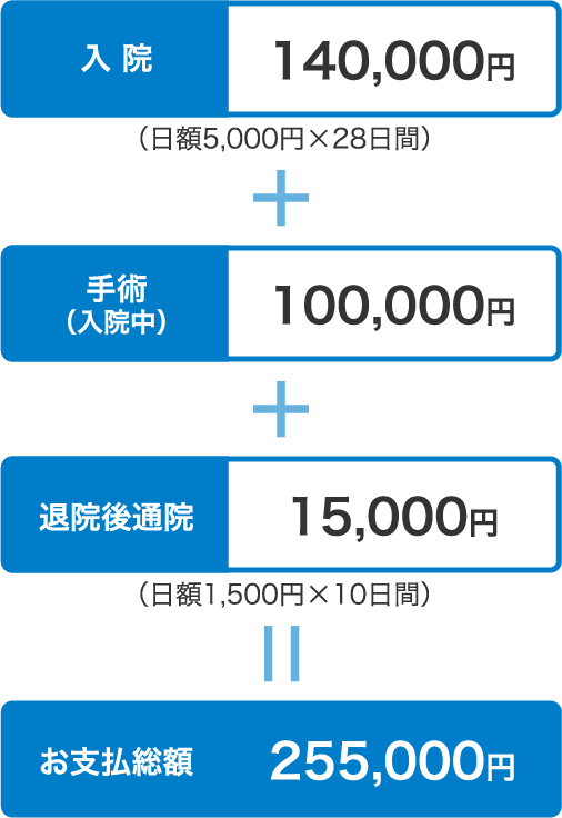 入院や治療などにかかる医療費は