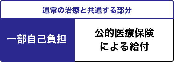 通常の治療と共通する部分　一部自己負担　公的医療保険による給付