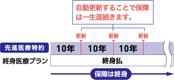 自動更新することで保障は一生涯続きます。