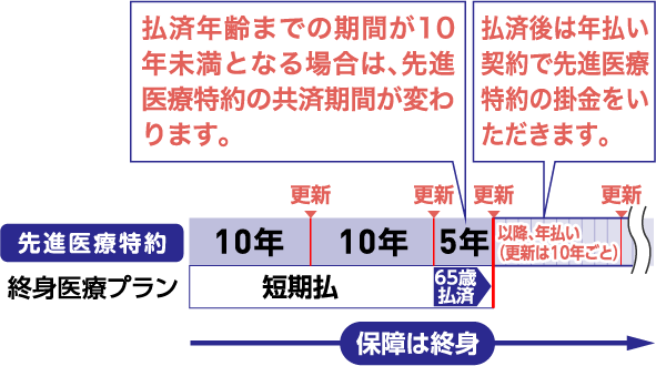 払済年齢までの期間が10年未満となる場合は、先進医療特約の共済期間が変わります。払済後は年払い契約で先進医療特約の掛金をいただきます。