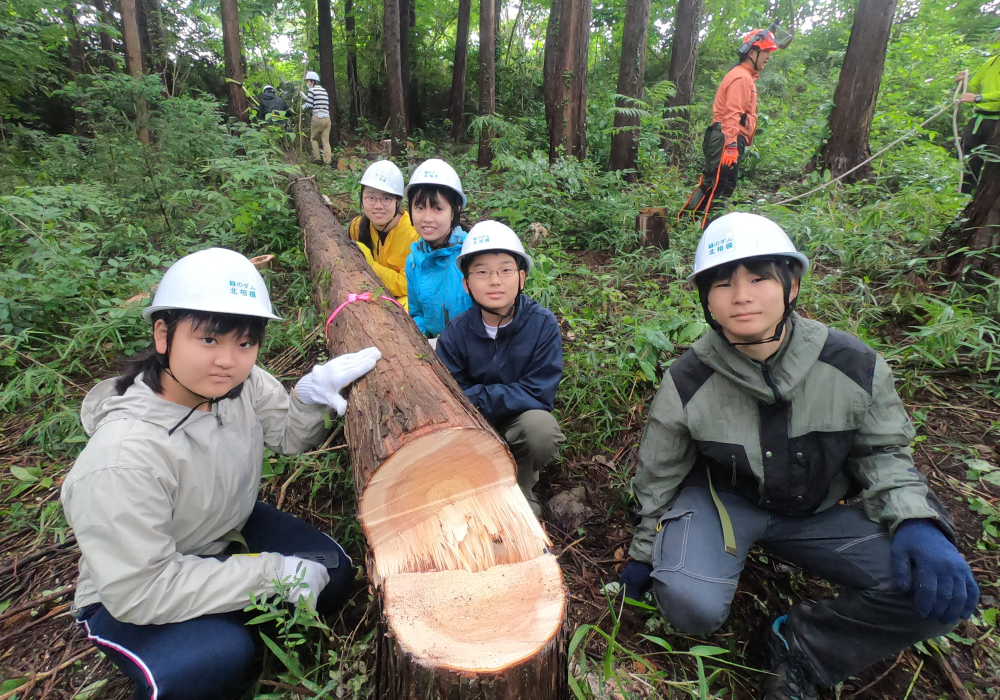 公益社団法人 国土緑化推進機構