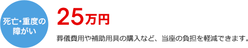 死亡・重度の障がい25万円 葬儀費用や補助用具の購入など、当座の負担を軽減できます。