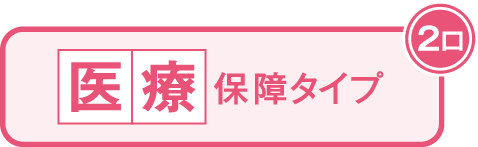 医療保障タイプ2口