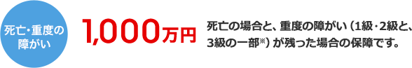 死亡・重度の障がい1,000万円　死亡の場合と、重度の障がい（1級・2級と、3級の一部※）が残った場合の保障です。
