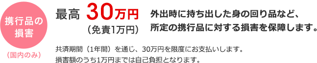 携行品の損害（国内のみ）最高30万円（免責1万円）　外出時に持ち出した身の回り品など、所定の携行品に対する損害を保障します。
