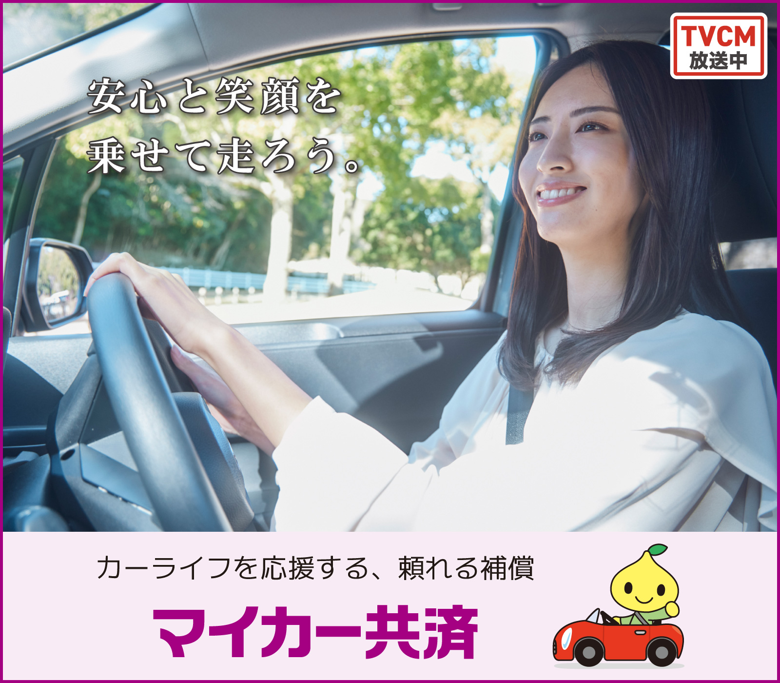 マイカー共済　自動車共済