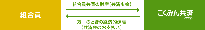 組合員と全労済の関係図 