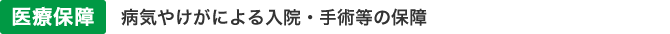 医療保障 病気やけがによる入院・手術等の保障