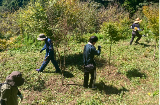 コープの森環境保全活動への参加（福岡県）