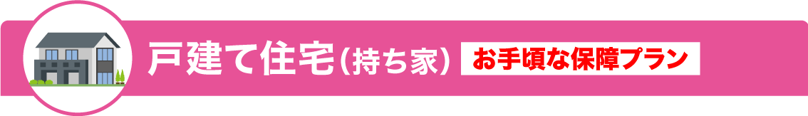 戸建て住宅（持ち家）お手頃な保障プラン