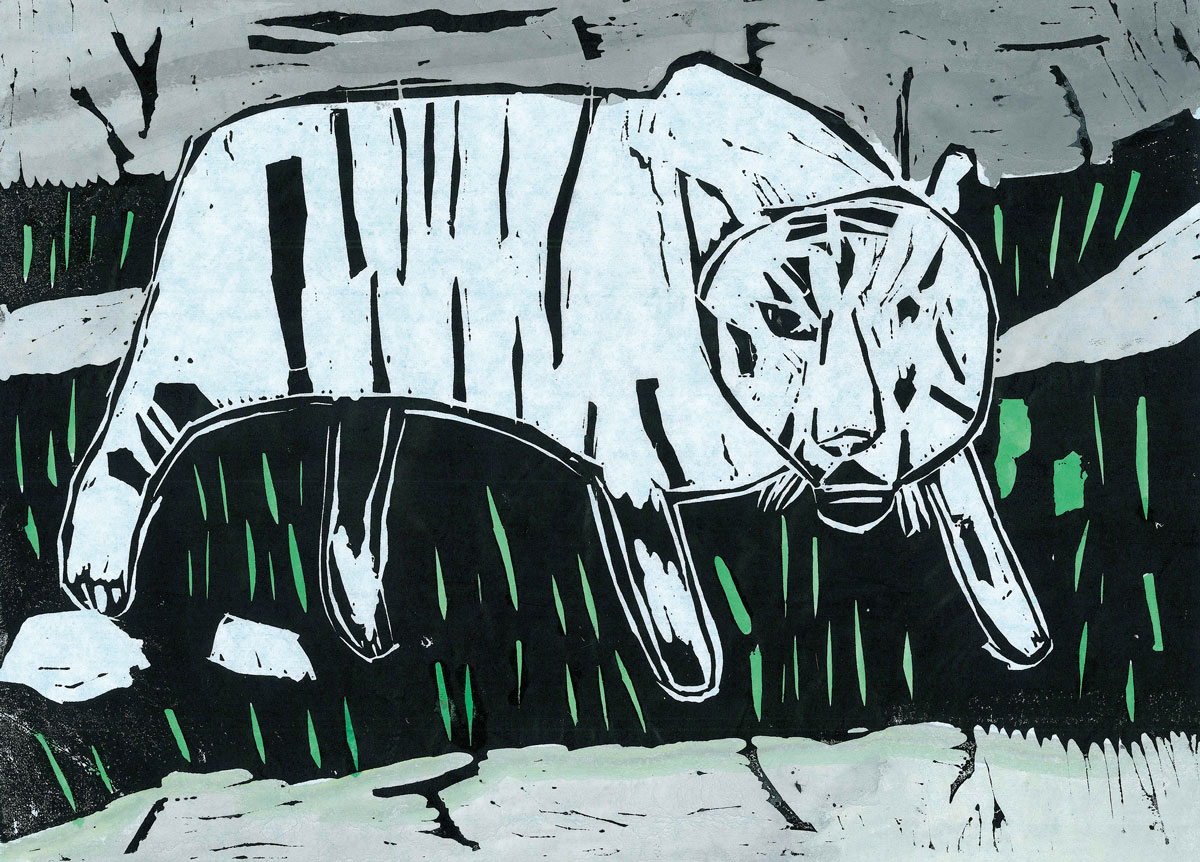 6年生 長沼 篤人さん「ホワイトタイガ－」