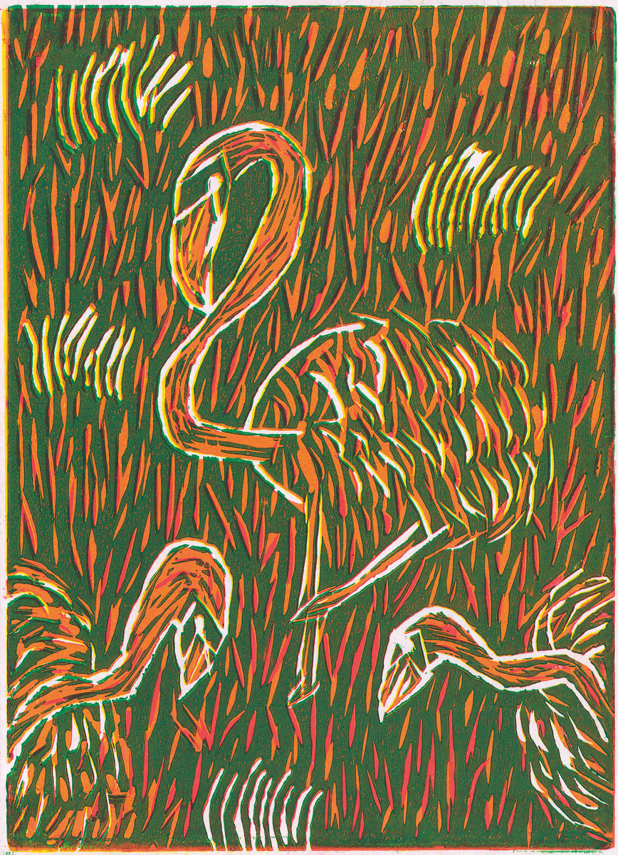 5年生 デバプラゲ ヘサンヤ タルリさん「森の中をかけまわるフラミンゴ」