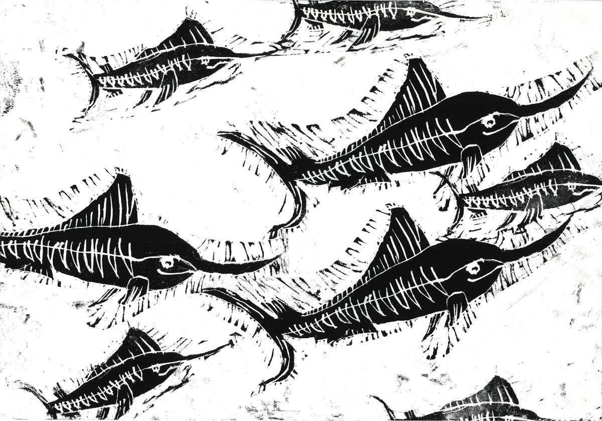 6年生 鹿志村 旺莉さん「カジキの大群」