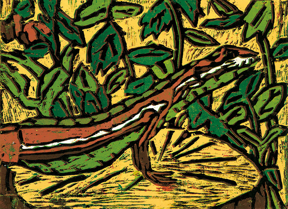 5年生 音田 碧空さん「森でくらすカナヘビのカト」