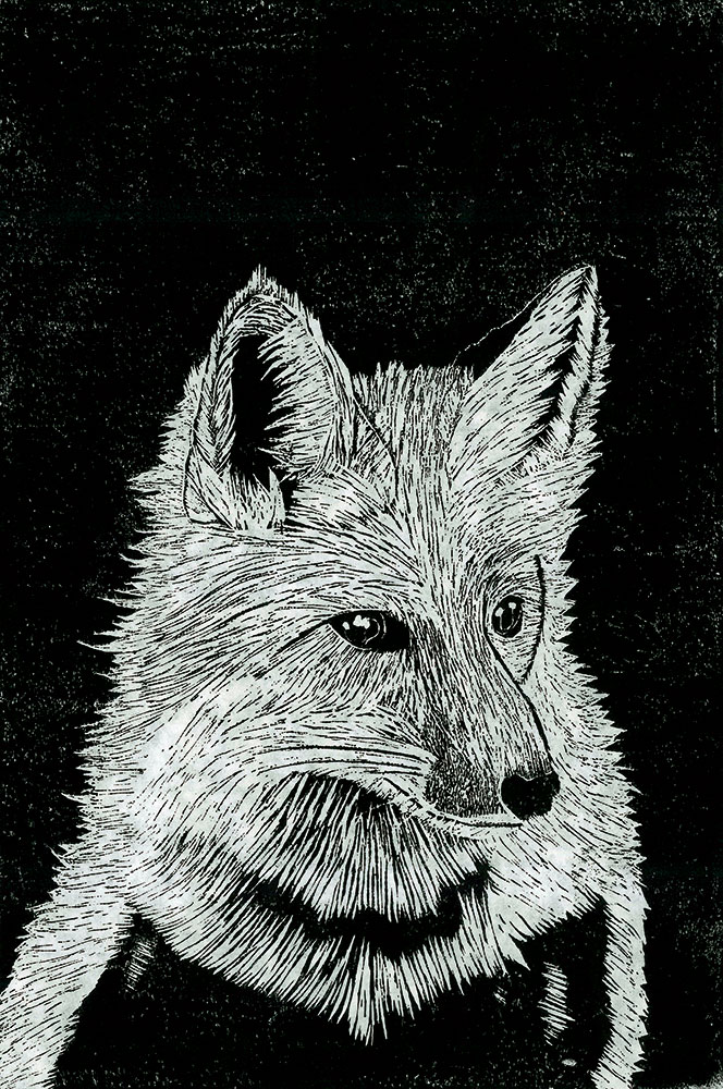 6年生 大竹 凜さん「銀狐の夜」