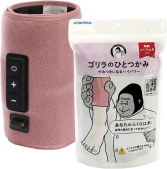 C賞：DOSHISHA ゴリラのひとつかみ
