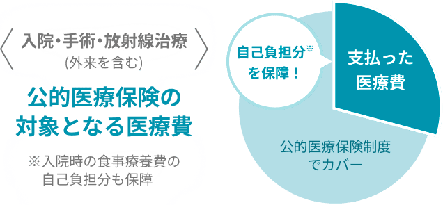 ＜入院・手術・放射線治療（外来を含む）＞ 公的医療保険の対象となる医療費 ※入院時の食事療養費の自己負担分も保障