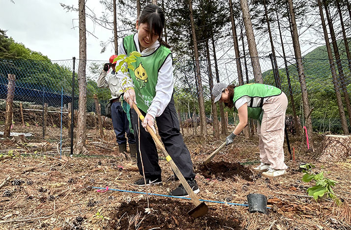苗がすっぽり入る深さの穴を掘って植樹