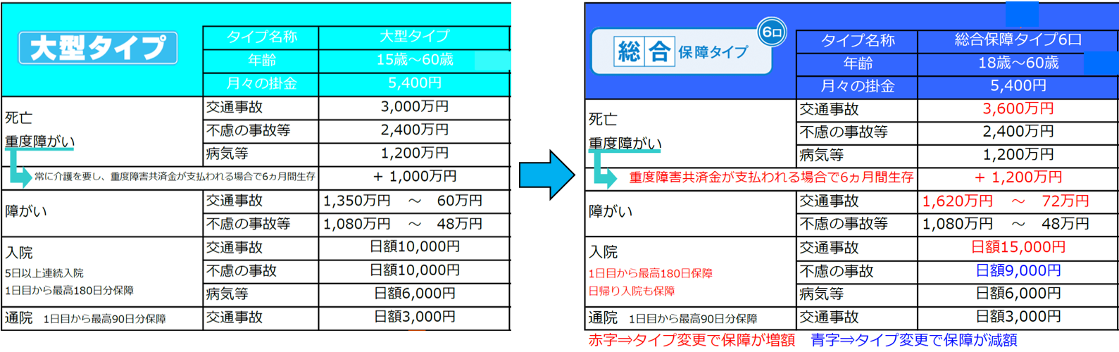 大型タイプ→総合保障タイプ6口.png