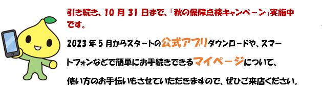 キャプチャ 2 .JPG