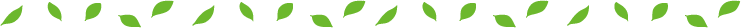 ライン葉っぱ 緑 中.png